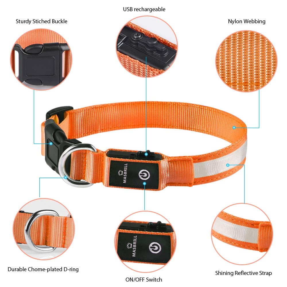 MASBRILL waterproof dog collar withstands rain and mud for all-weather adventures