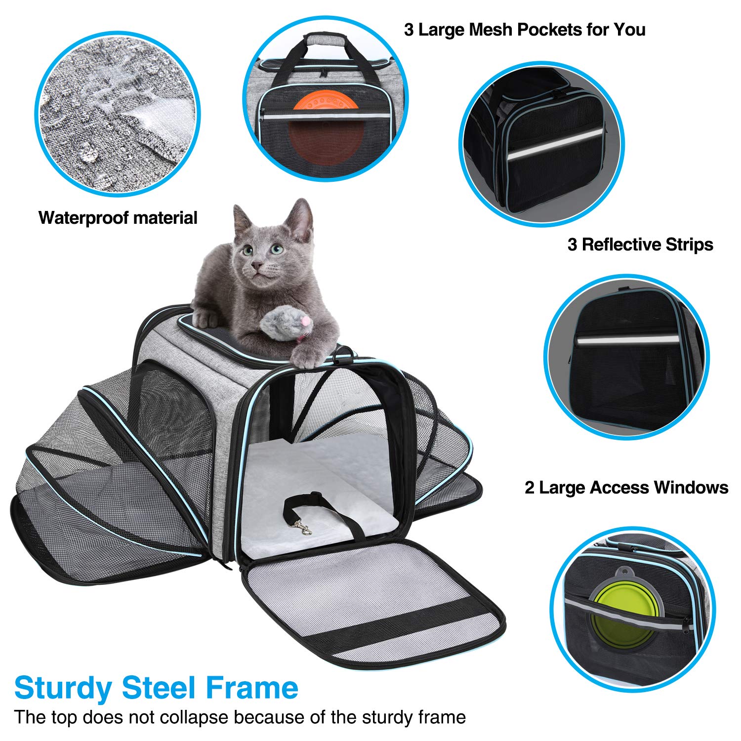 MASKEYON airline-approved pet carrier back view showing sturdy frame