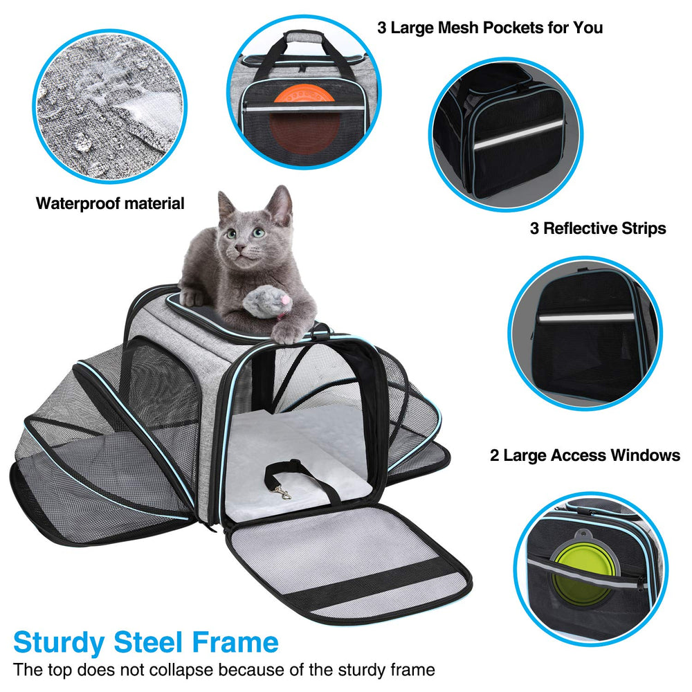 MASKEYON airline-approved pet carrier back view showing sturdy frame