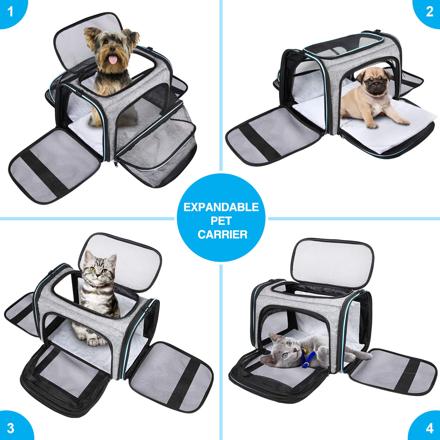 MASKEYON airline-approved pet carrier size and dimensions guide for fit