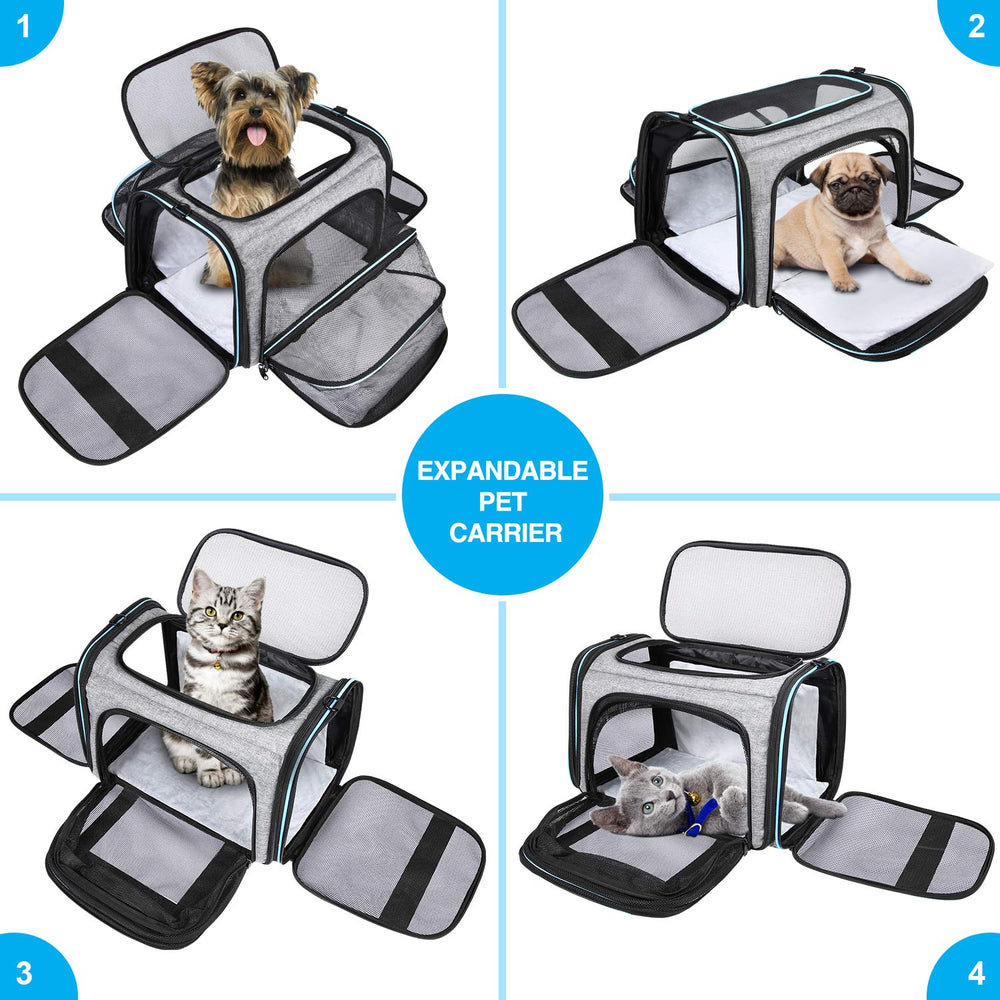 MASKEYON airline-approved pet carrier size and dimensions guide for fit