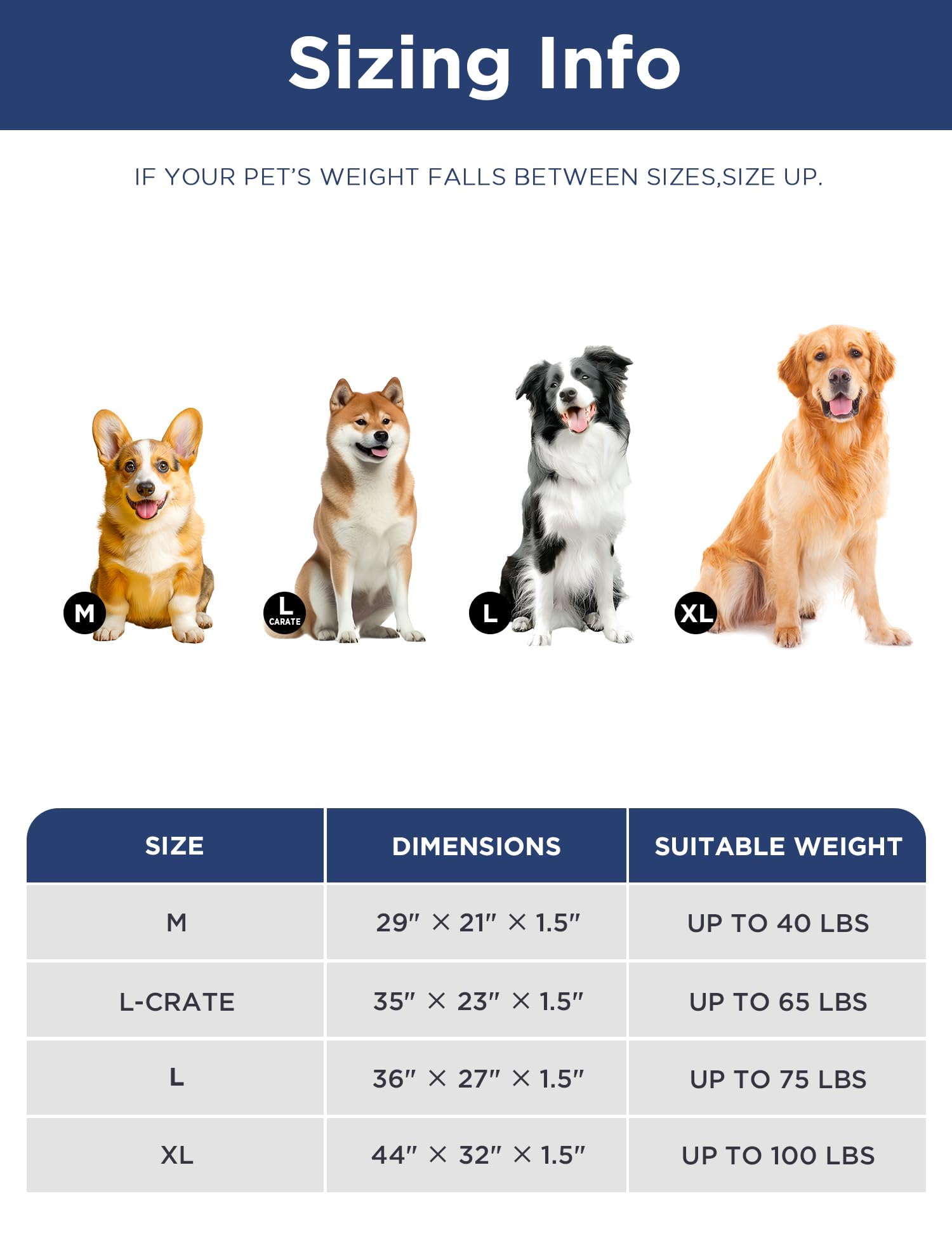 MASSFU dog bed travel-ready image illustrating portable use