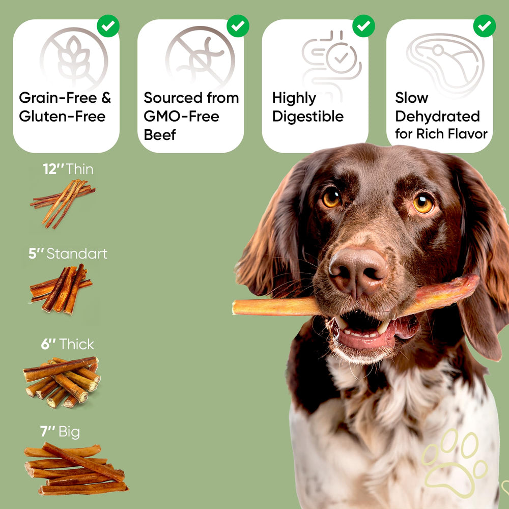 MASSTICK Bully Sticks digestible beef chews support dental hygiene and fresh breath
