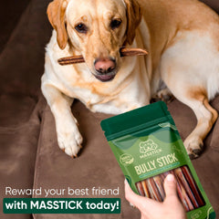 MASSTICK Bully Sticks dog chew 4inch shown during training and playtime
