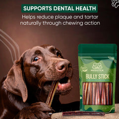 MASSTICK Bully Sticks odor-free design minimizes indoor smells during chews
