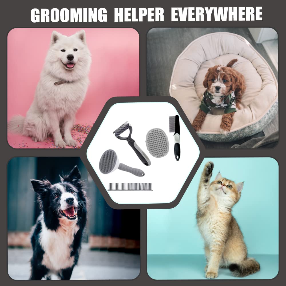 MASTER QUEEN pet grooming session, at-home maintenance for busy owners.
