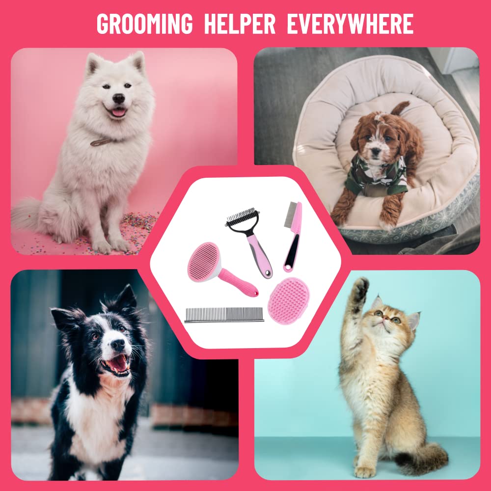 MASTER QUEEN pink style packaging makes a cute gift for pet families