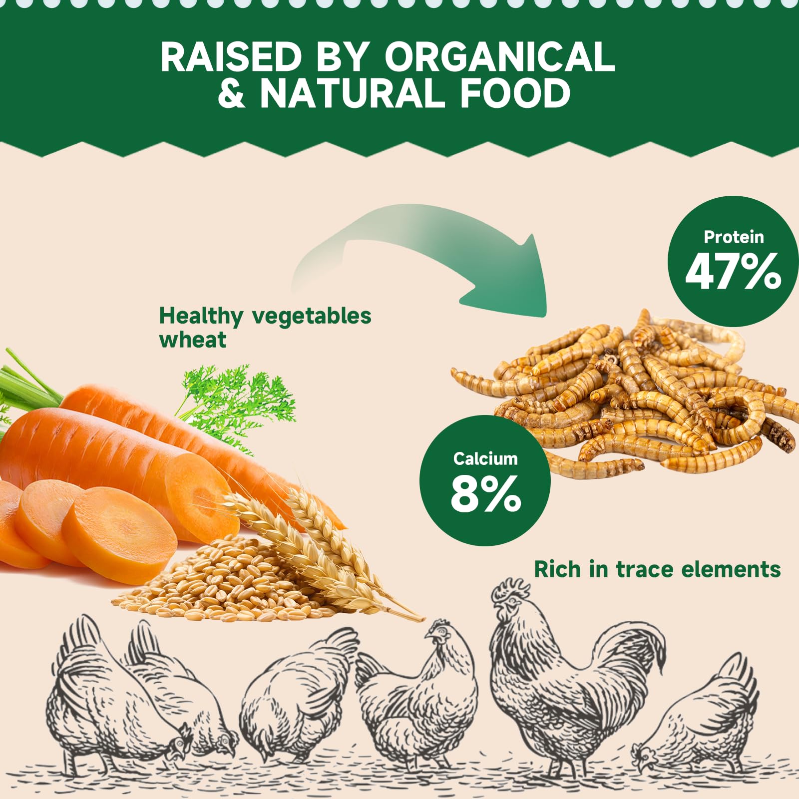 MASUCVE BSFL bag 10.5lb ready-to-use poultry feed.