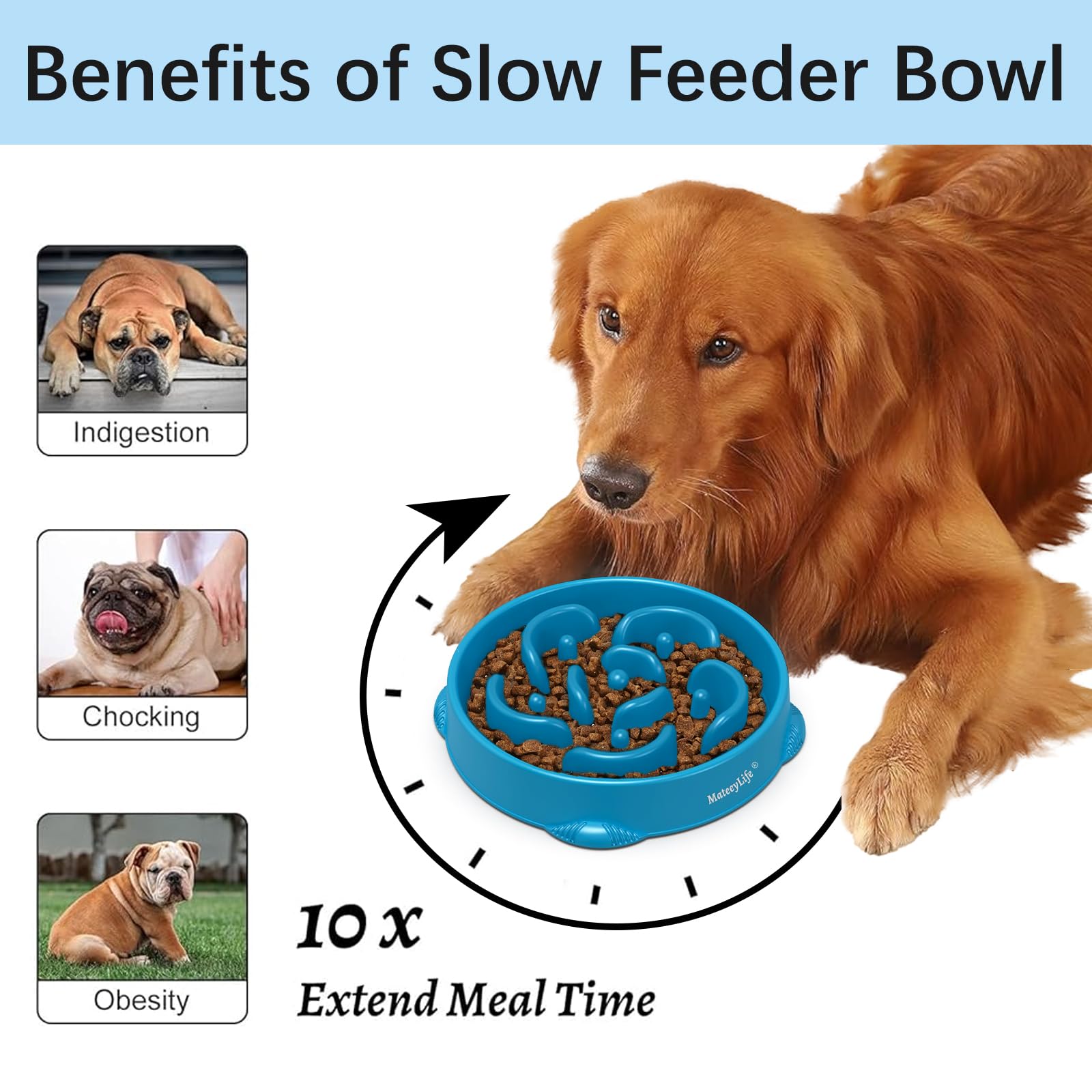 MateeyLife antichoking puzzle bowls demonstrate safe, engaging mealtime for dogs