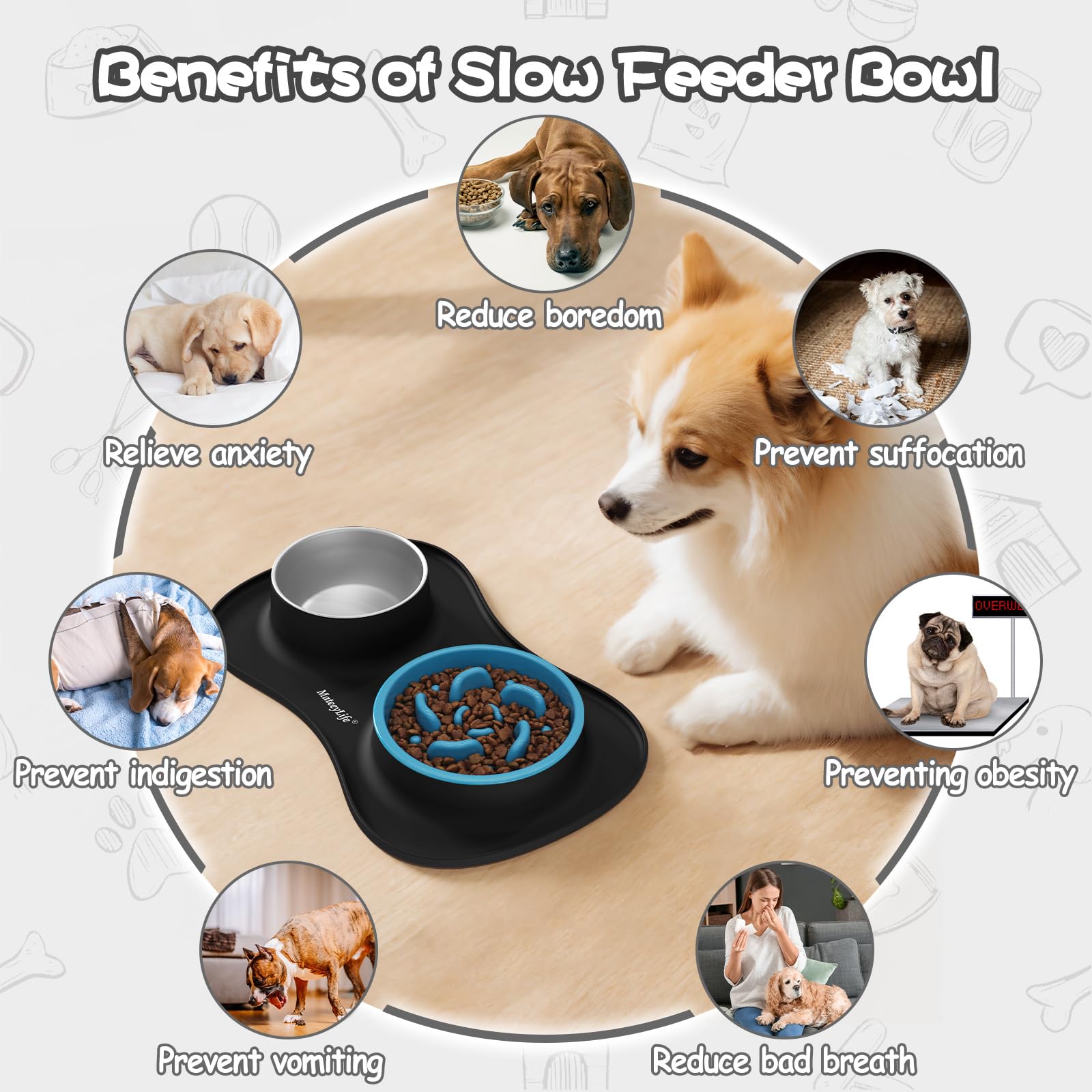 MateeyLife dog and cat bowls sized for different pets.