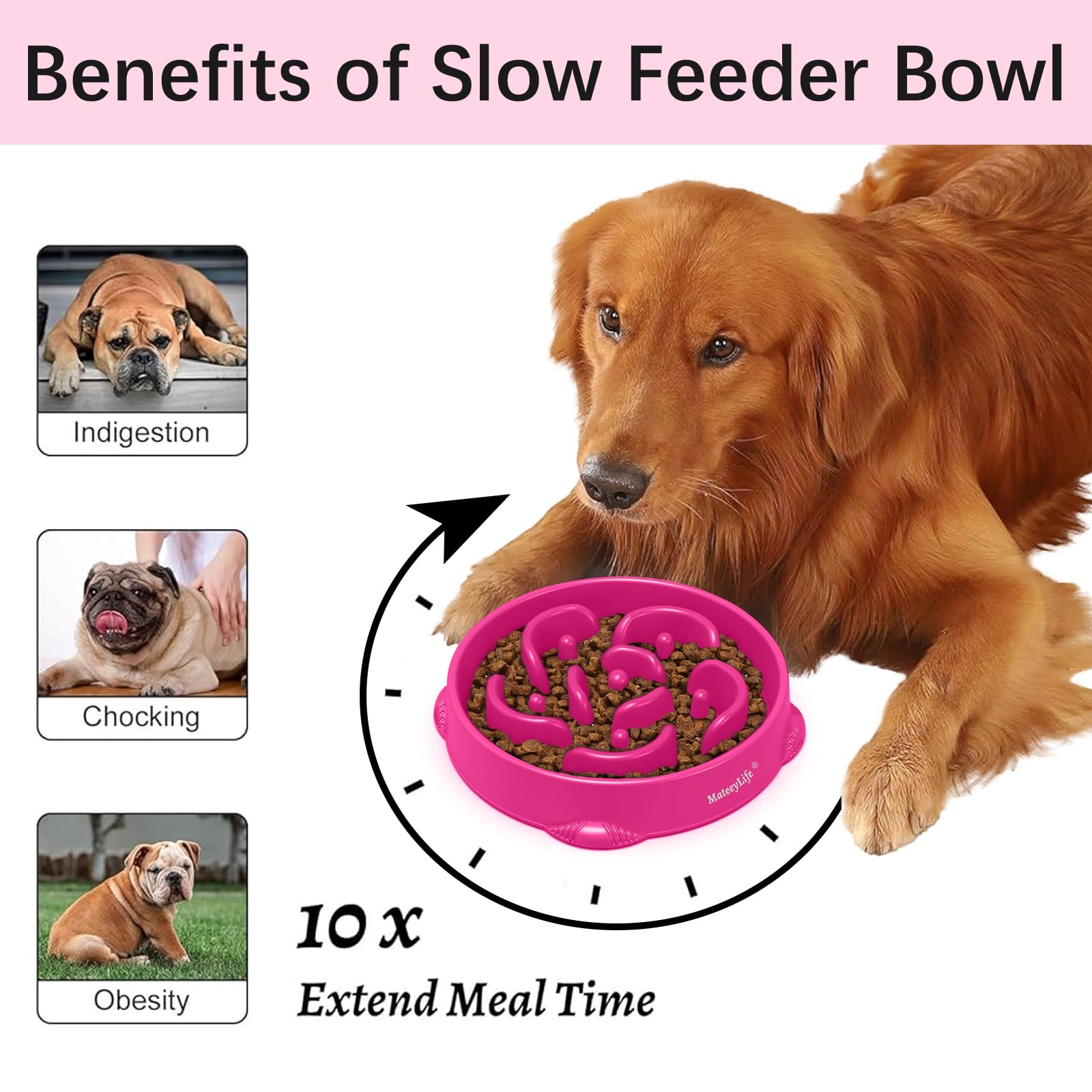 MateeyLife puzzle feeder maze design aids mental stimulation during meals