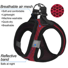 Matilor harness safety double D-ring closeup with sturdy buckle