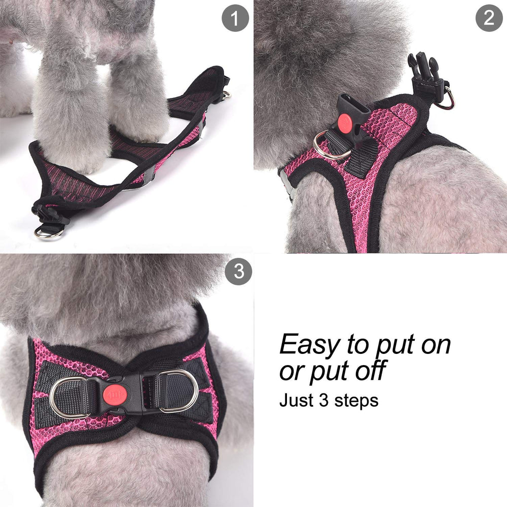 Matilor safety features with double D-ring on red vest