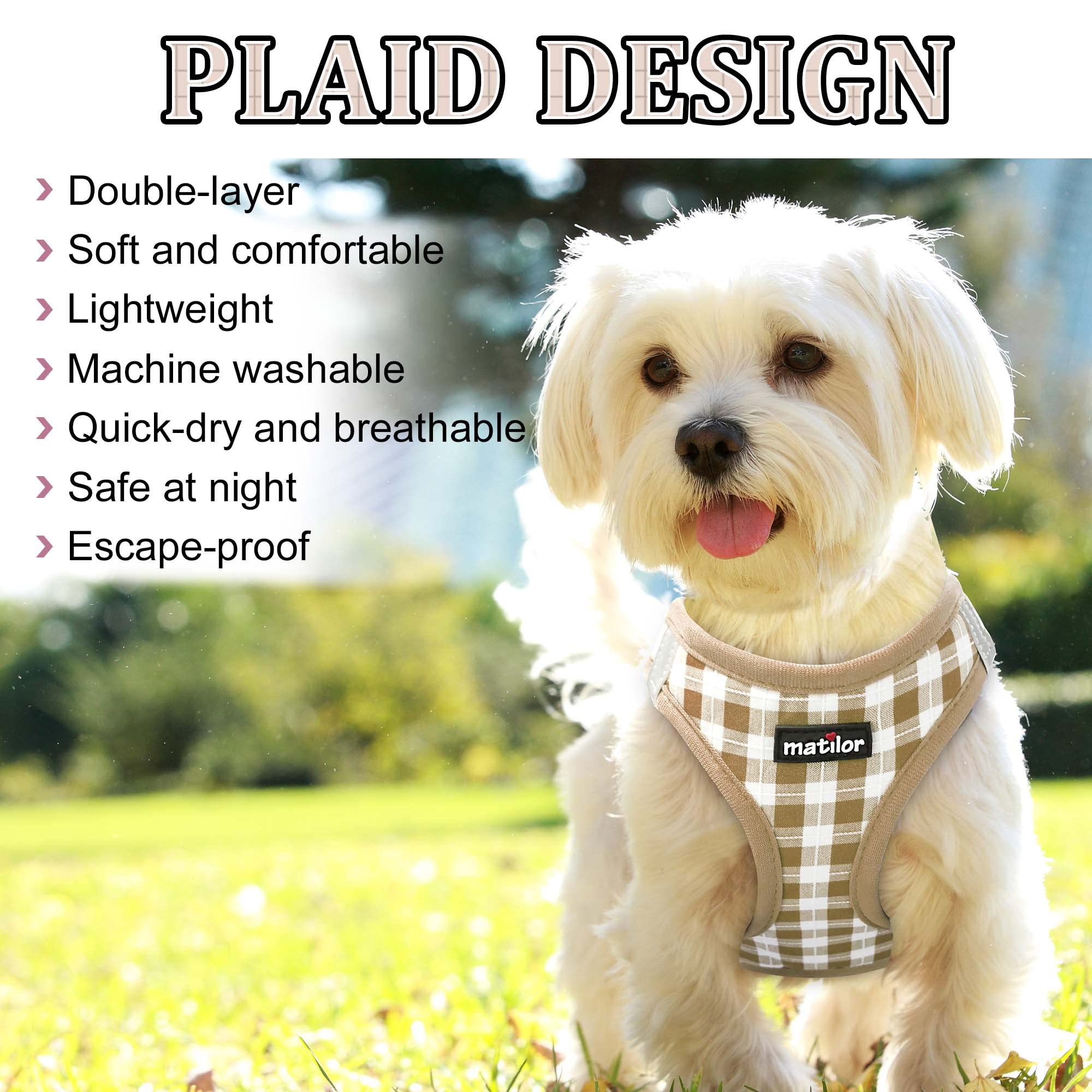 Matilor double D-ring and secure buckle ensure leash safety.
