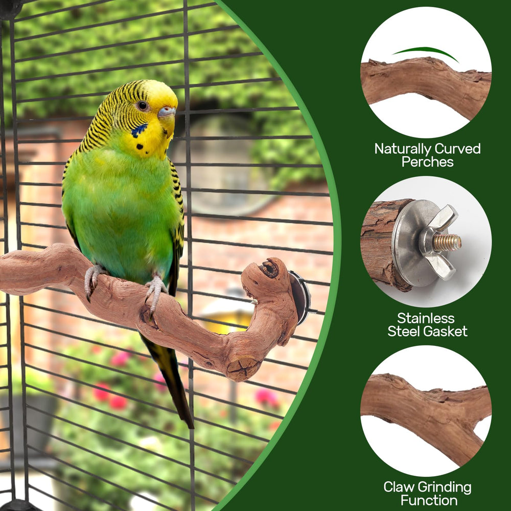 Matutinus 6-piece bird toy set supports exercise and mental engagement.