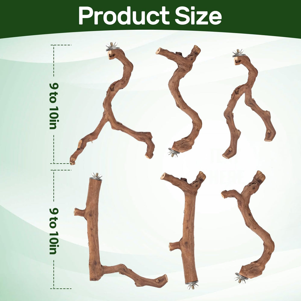 Matutinus natural branch perch assembly fits various cage sizes easily.