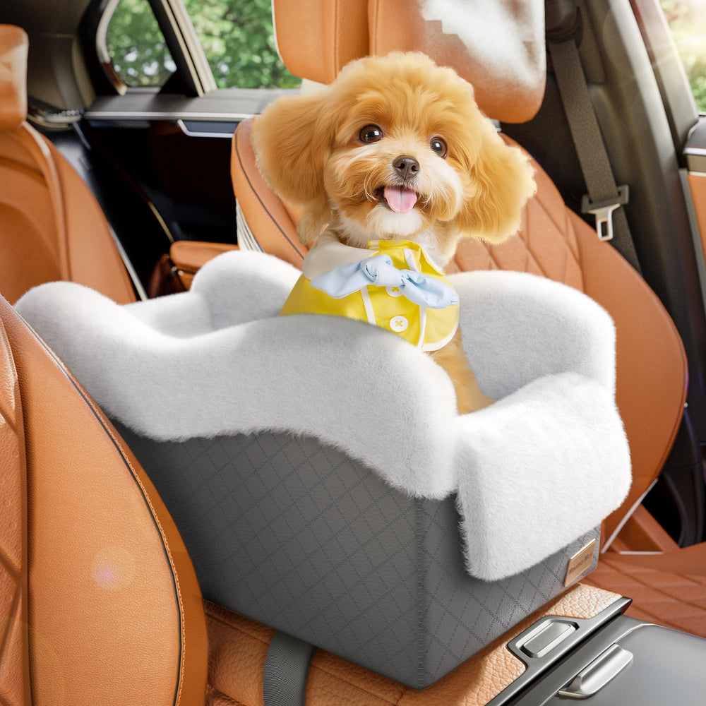 Mavora Max center-console dog seat keeps your small dog close for a calmer ride.