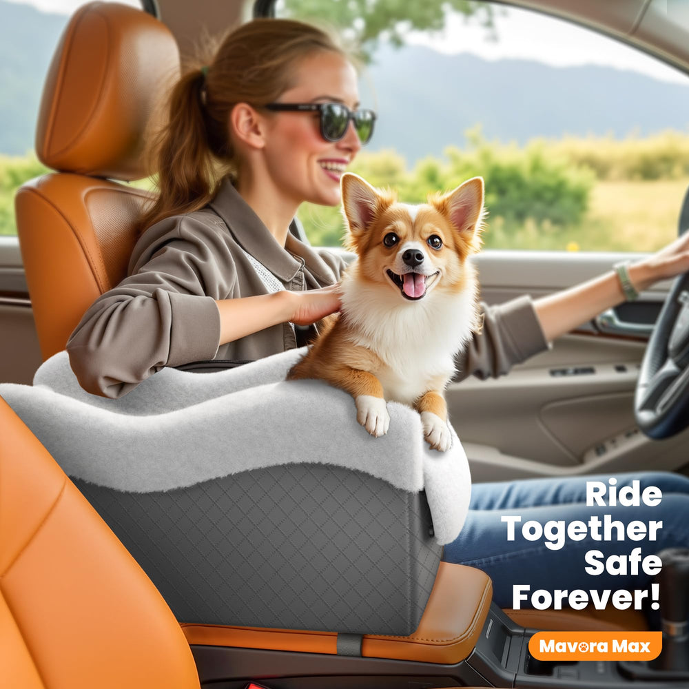 Mavora Max dog travel setup shows an organized, pet-friendly car solution.
