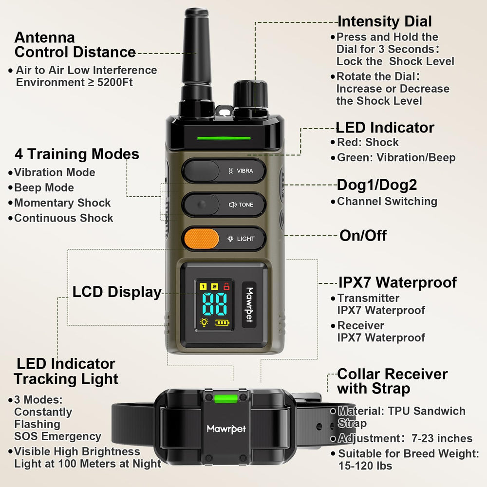 Mawrpet two-dogs training setup helps manage behavior across pets.