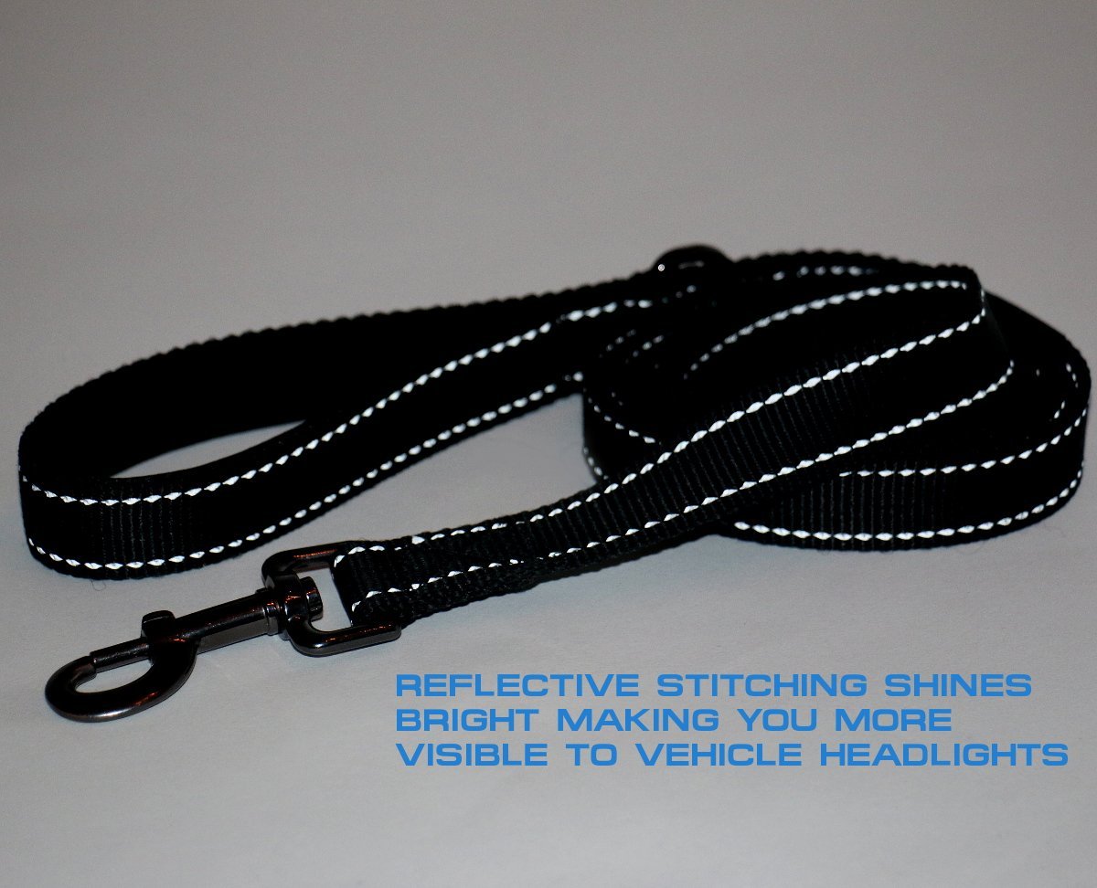 Max and Neo 1-for-1 donation promotes rescues with every leash purchased.