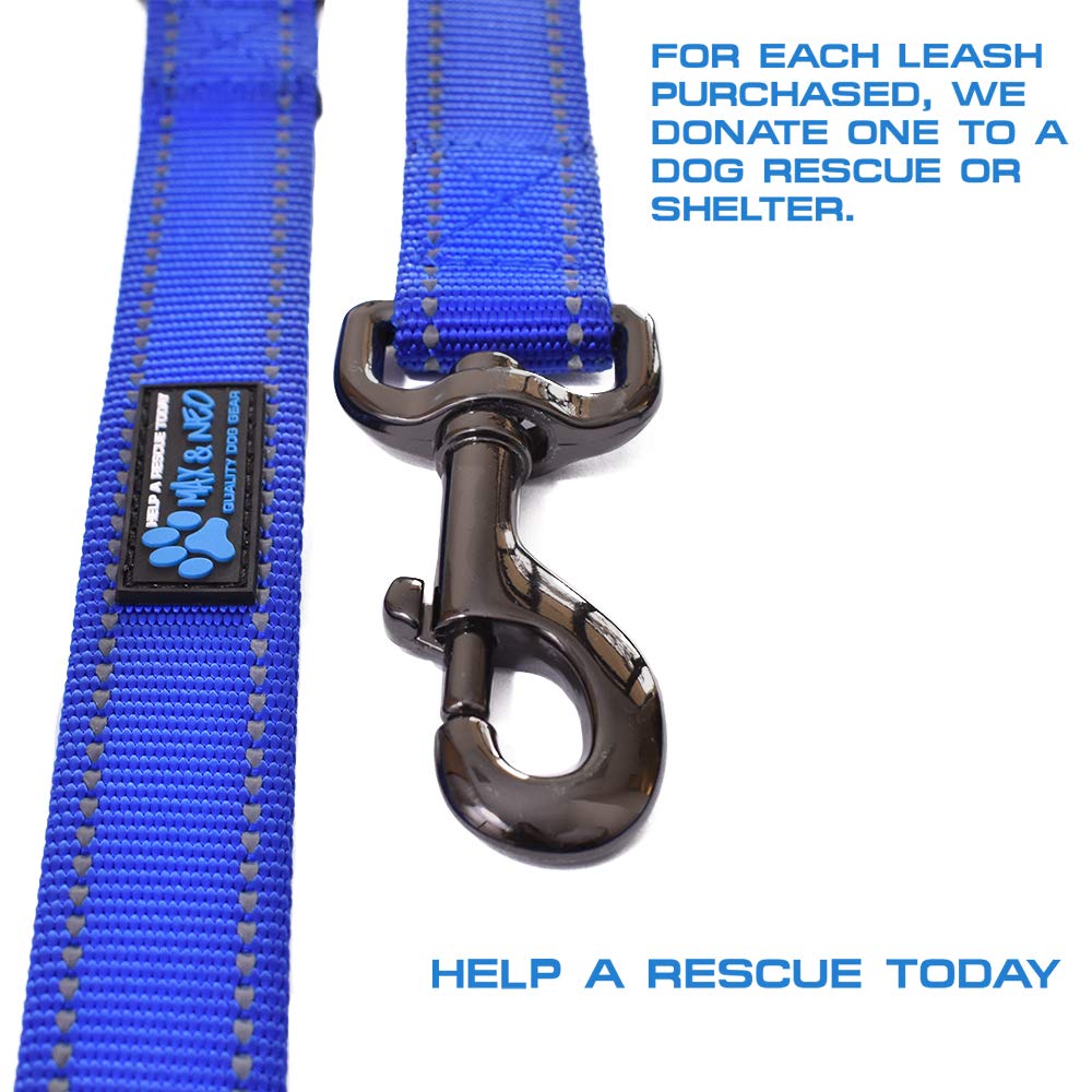 Max and Neo 6ft leash ideal for urban walks with a larger dog