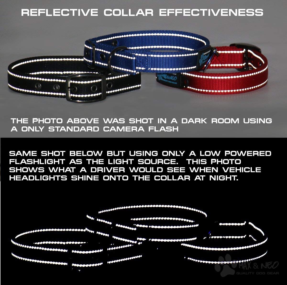 Max and Neo rescue donation teal collar concept supporting dog rescues