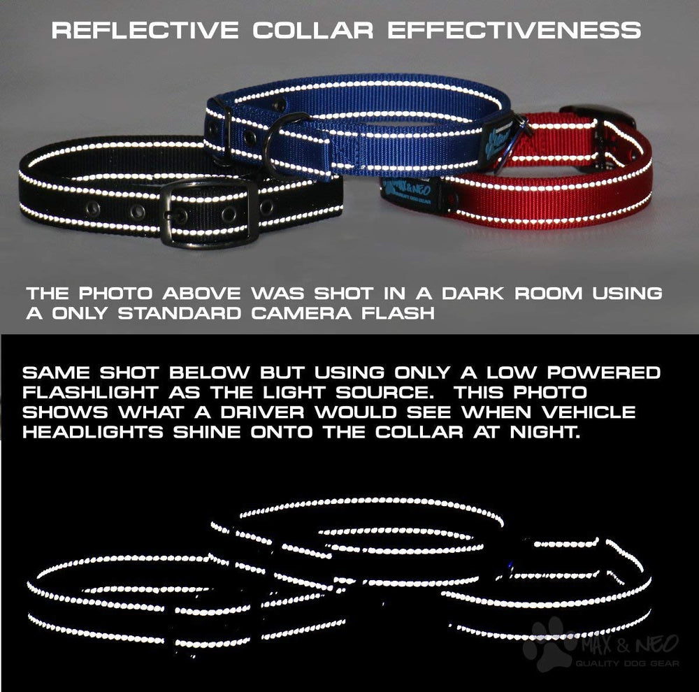 Max and Neo rescue donation teal collar concept supporting dog rescues