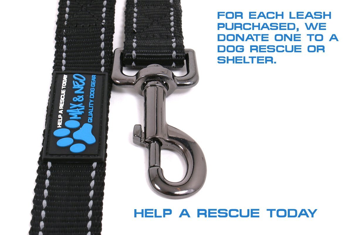Max and Neo heavy-duty metal clasp for secure leash attachment.