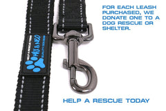Max and Neo heavy-duty metal clasp for secure leash attachment.