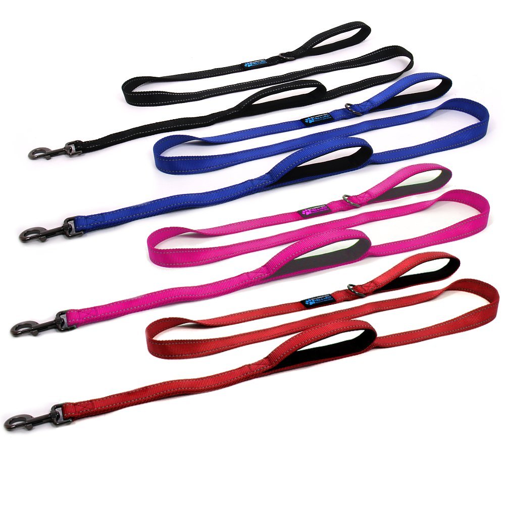 Max and Neo heavy-duty nylon leash construction designed for daily use