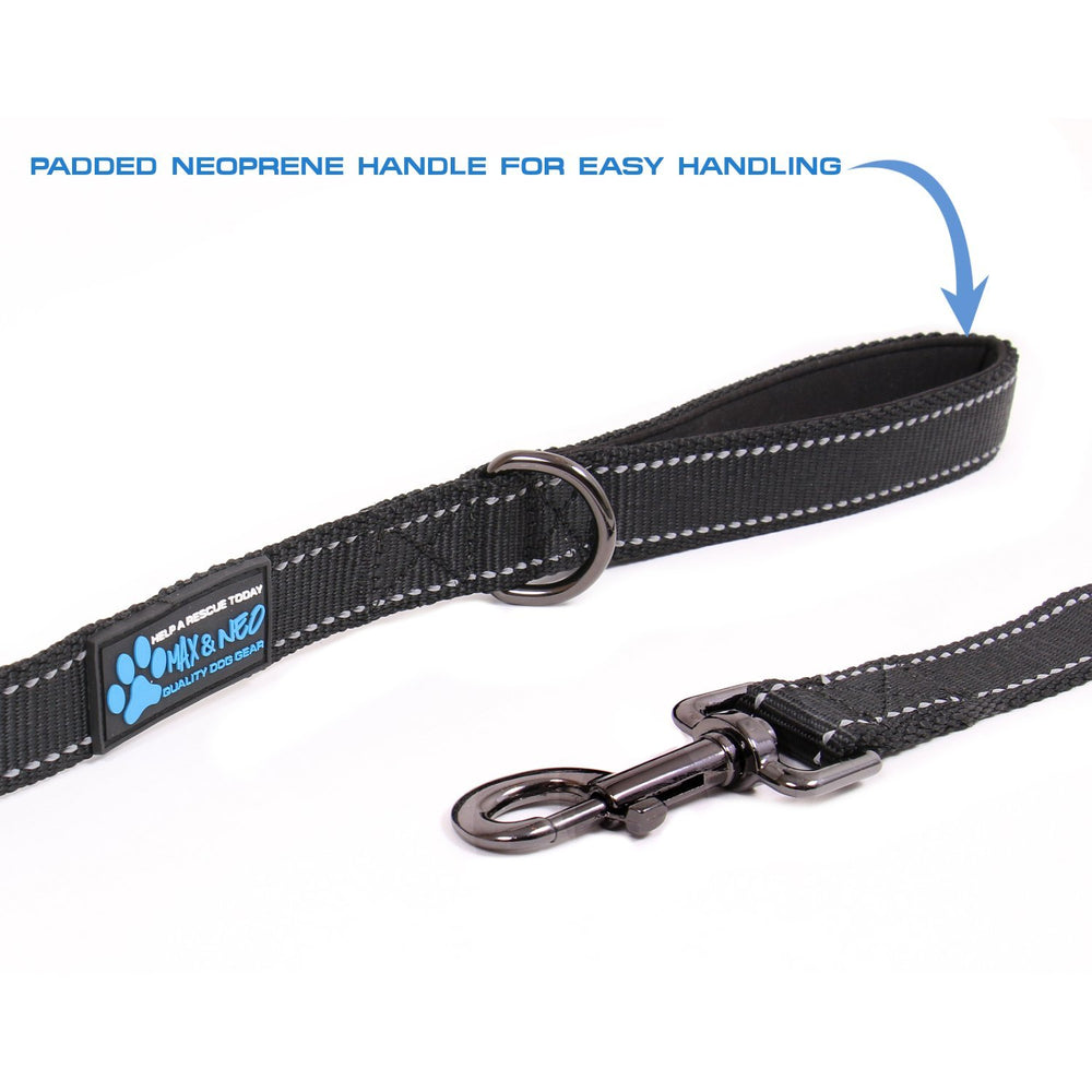 Close-up of heavy-duty stitching and metal clasp on a Max and Neo leash.