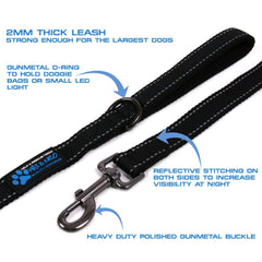 Night visibility stitching on the Max and Neo leash for safer evening walks.