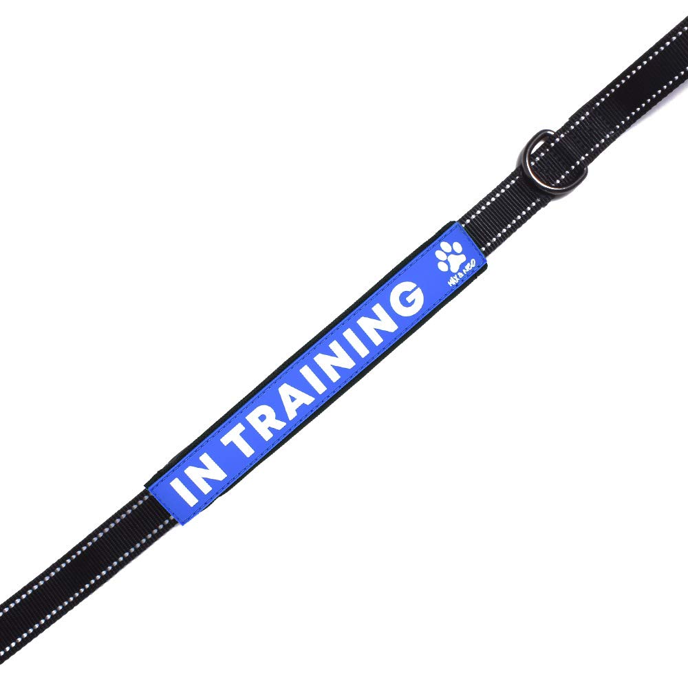 Max and Neo leash sleeve in training, front view, highly visible messaging for safer public outings
