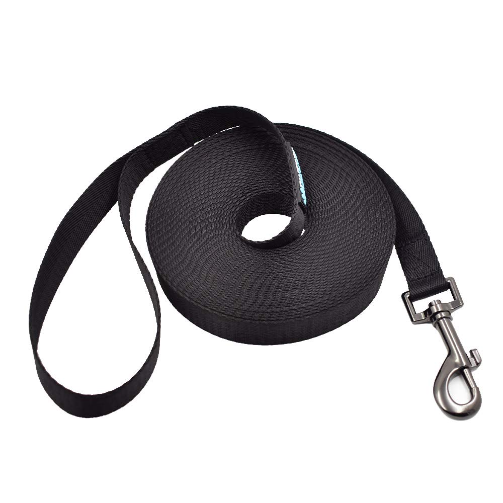 Max and Neo long recall leash in action for training and field play.