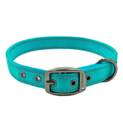 Max and Neo MAX reflective collar teal front view shows night visibility