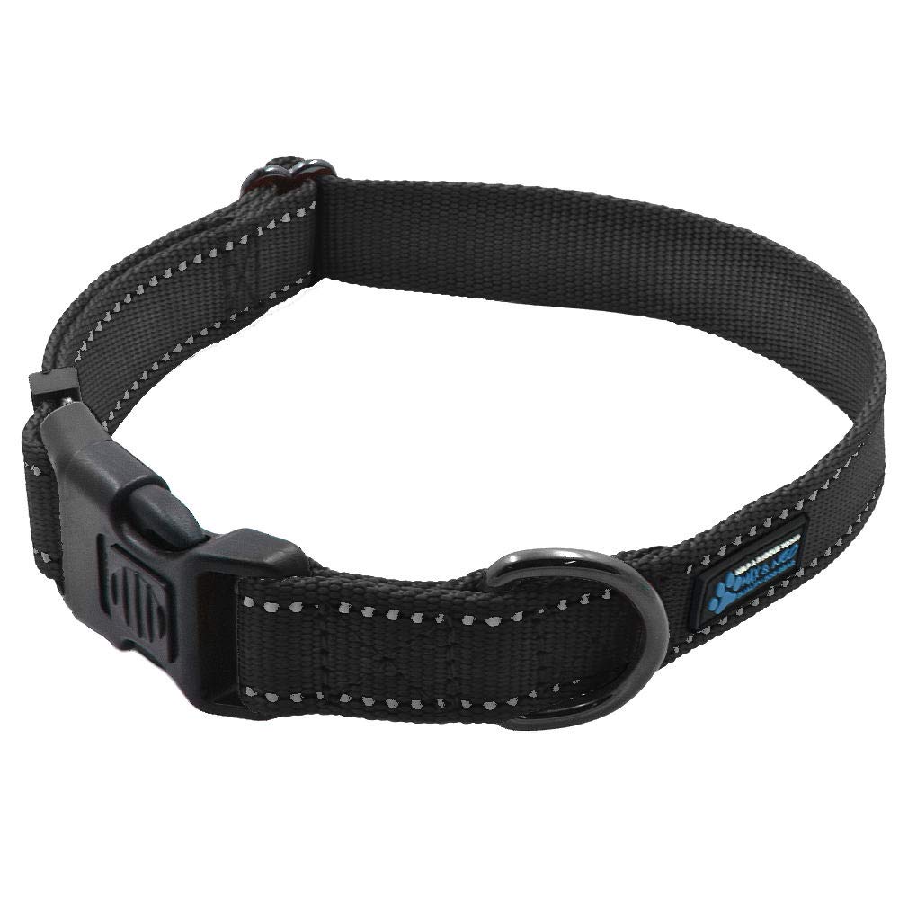 Max and Neo NEO nylon buckle reflective dog collar closeup shows durable nylon and reflective safety