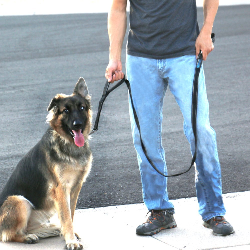Max and Neo leash neoprene handles close-up showing cushioned grip