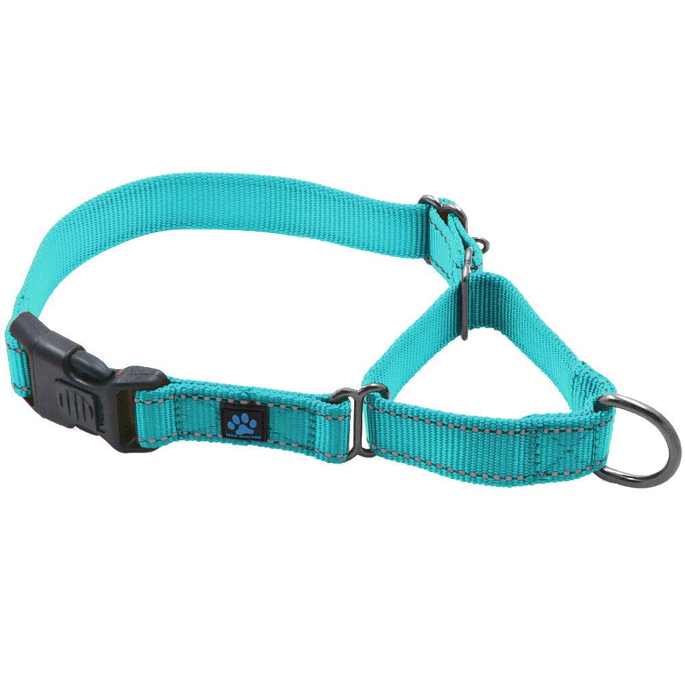 Max and Neo nylon martingale collar teal closeup shows sturdy buckle and D-ring for daily walks