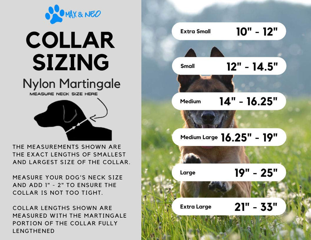 Max and Neo collar on dog demonstrates comfortable daily wear and rescue impact.
