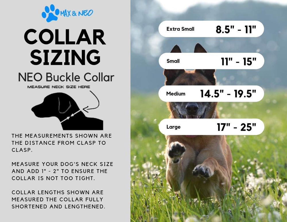 Max and Neo bees pattern dog collar packaging ready for gifting and rescues.