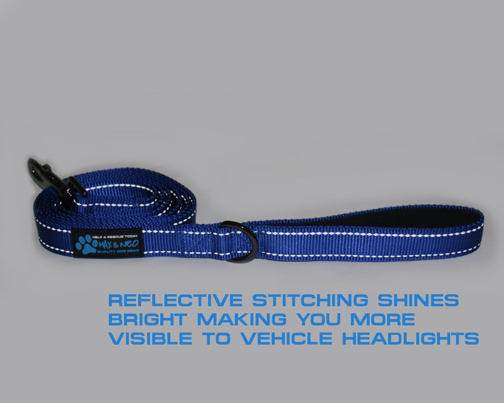 Max and Neo reflective nylon dog leash, blue 6ft, reflective stitching for safer night walks.