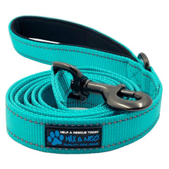 Max and Neo reflective nylon dog leash in teal for safer night walks