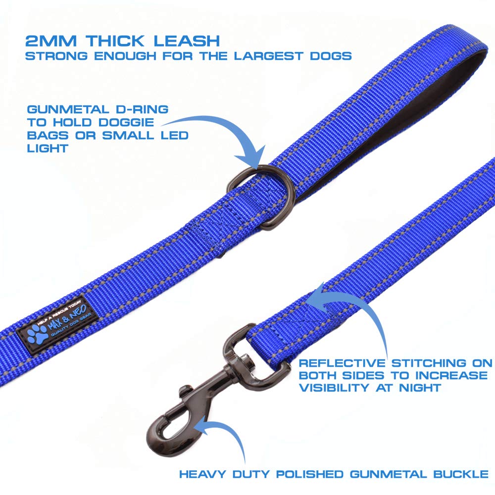 Max and Neo reflective stitching on leash boosts visibility at night