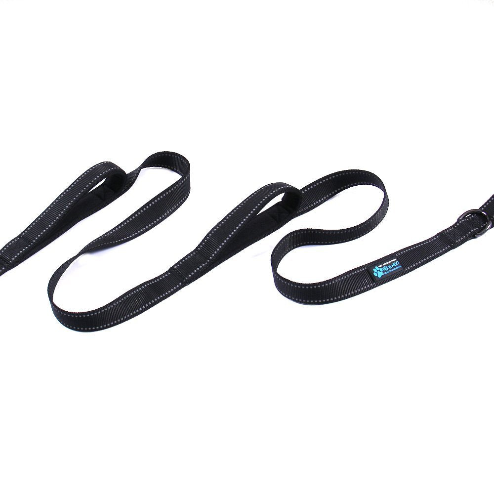 Max and Neo reflective stitching orange leash highlights nighttime visibility for safer walks.