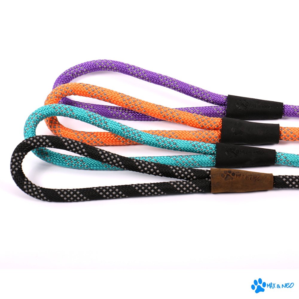 Max and Neo donate-one-leash-to-rescue concept highlighted