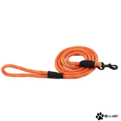 Max and Neo leash with four reflective stitching lines enhances nighttime visibility