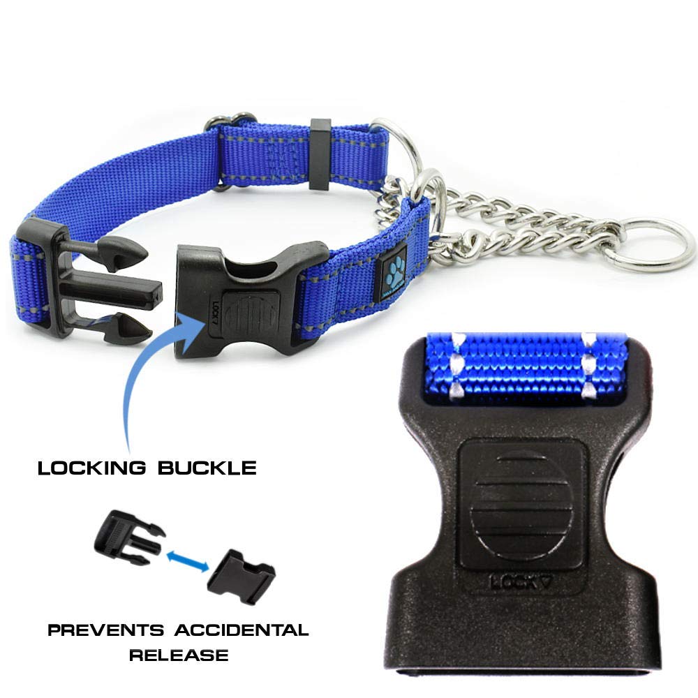 Max and Neo stainless steel martingale collar closeup highlights durable hardware