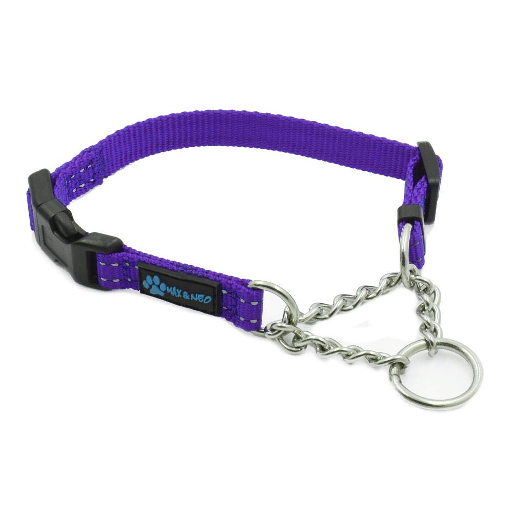 Max and Neo stainless steel martingale collar purple closeup showing durable control for small dogs.