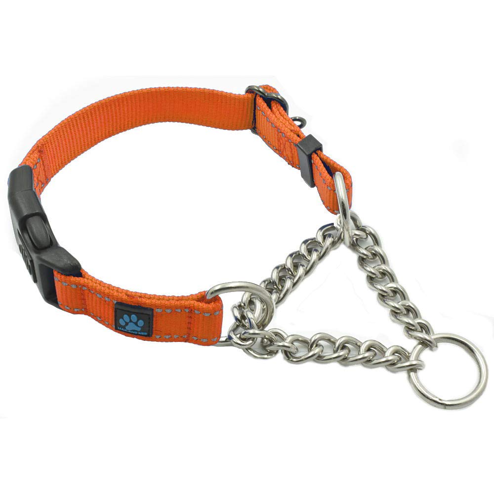 Max and Neo stainless steel martingale collar side view for secure training support