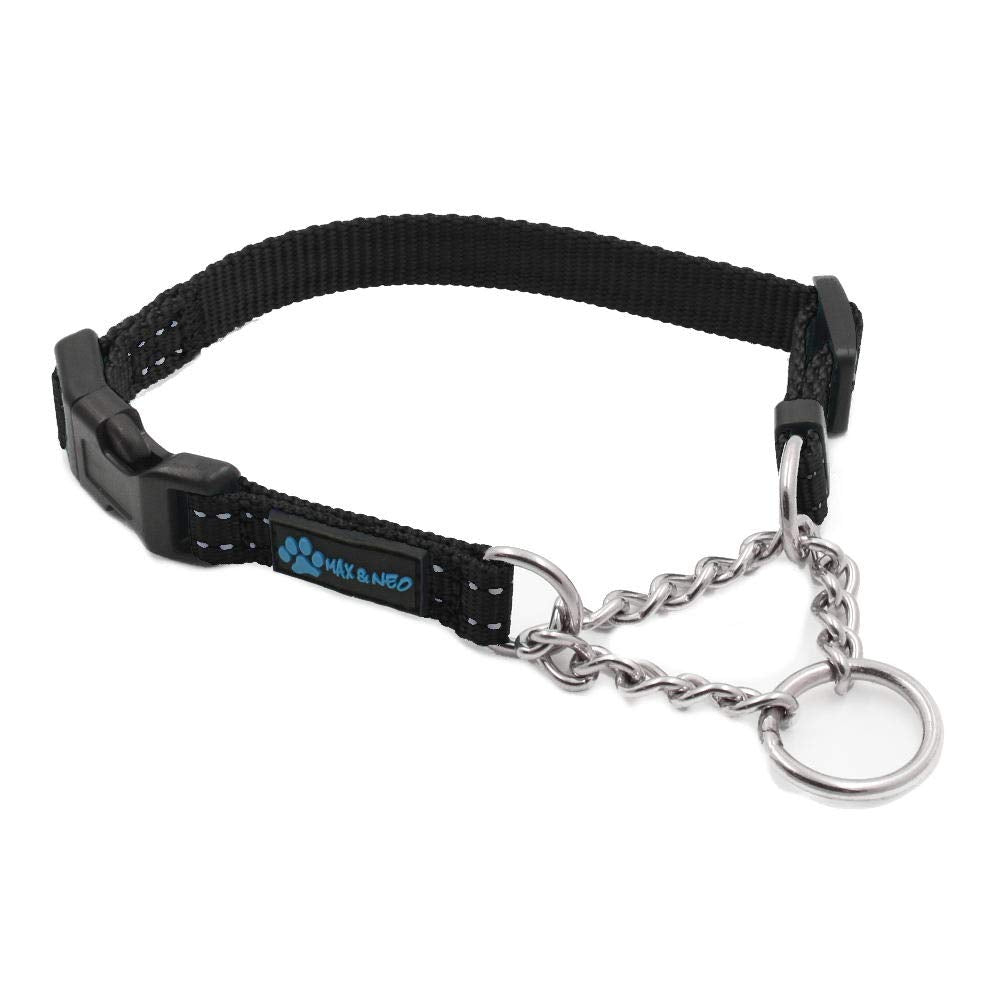 Max and Neo stainless-steel martingale collar closeup shows durable hardware for daily training.